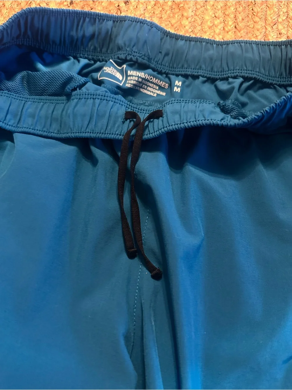 The North Face Men's Teal Blue Athletic Shorts